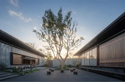 創(chuàng)新式傳承 建發(fā)房產(chǎn)新品 詩(shī)意東方 正式發(fā)布