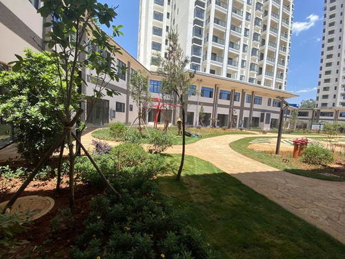 全款17萬起，云南5A級景區旅居房產帶回家